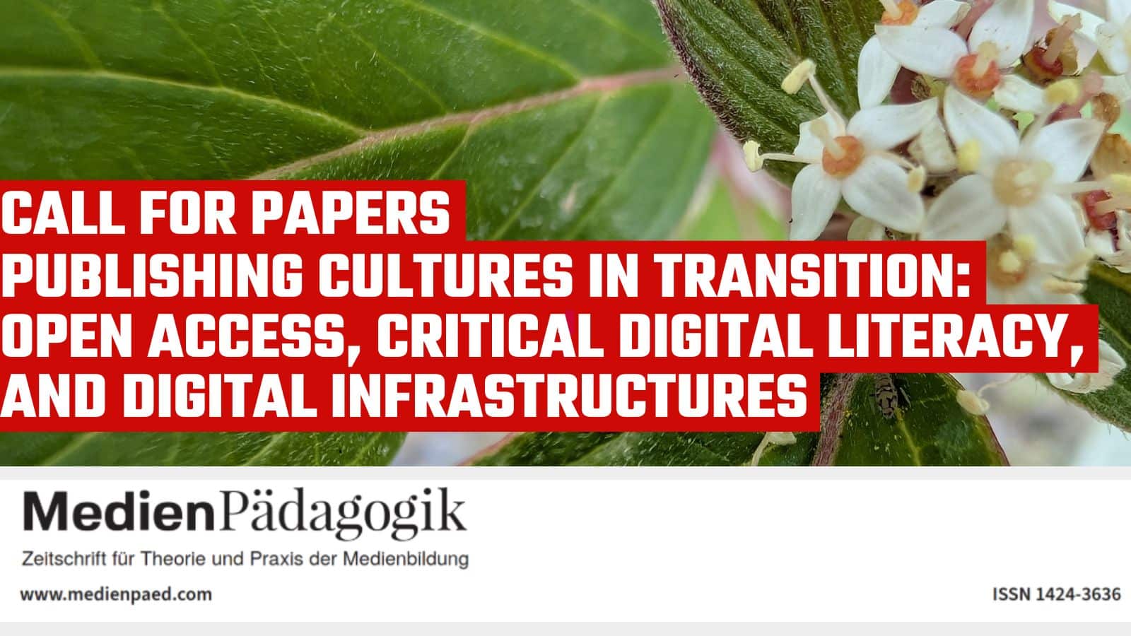 Publishing Cultures in Transition: Medien Pädagogik Call for Papers - Public Knowledge Project