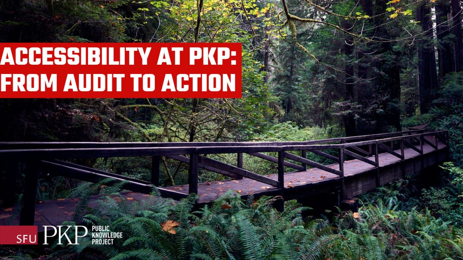 A bridge spanning over water in the deep forest represents the movement from audit to action in PKP accessibility efforts. 